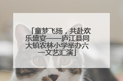 童梦飞扬，共赴欢乐盛宴——庐江县同大镇农林小学举办六一文艺汇演